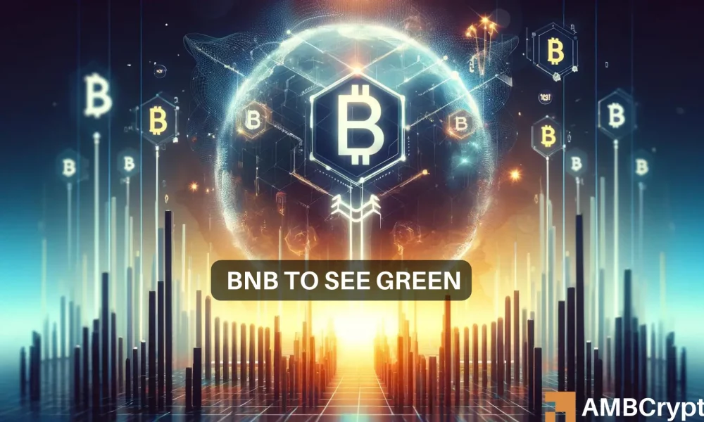 BNB network 1