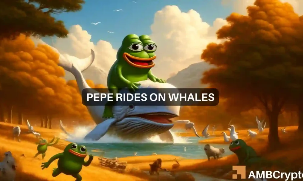 pepe banks on whales