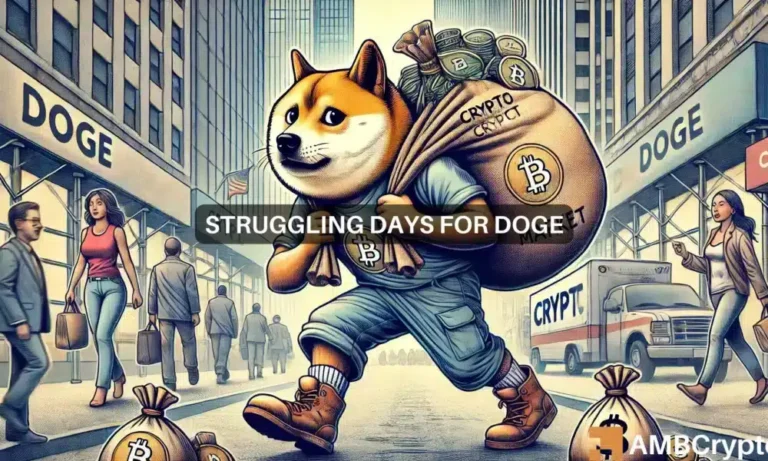 webp doge 1000x600