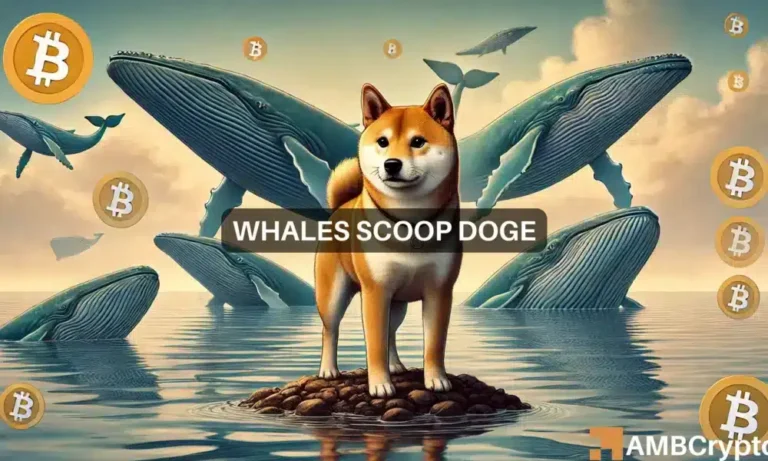 Whales scoop Dogecoin 1000x600