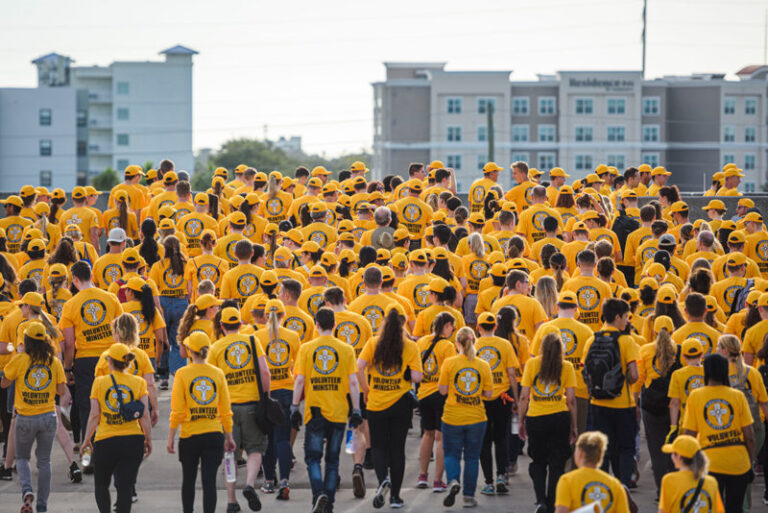 vm sea of bright yellow