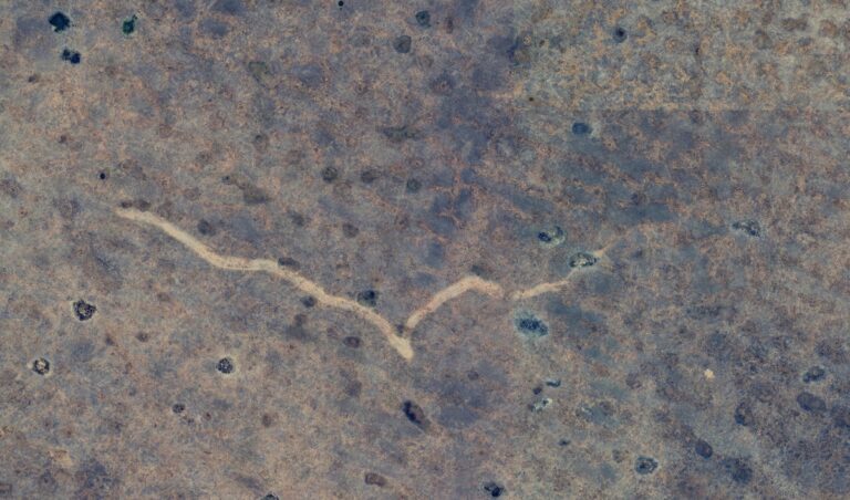 Nullarbor Plain scar