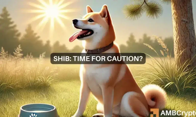 Shina Inu has trouble 1000x600