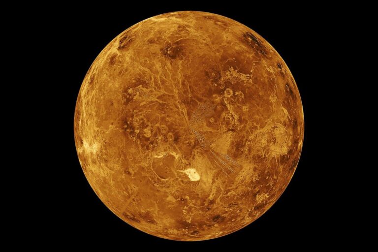 global view of venus northern hemisphere